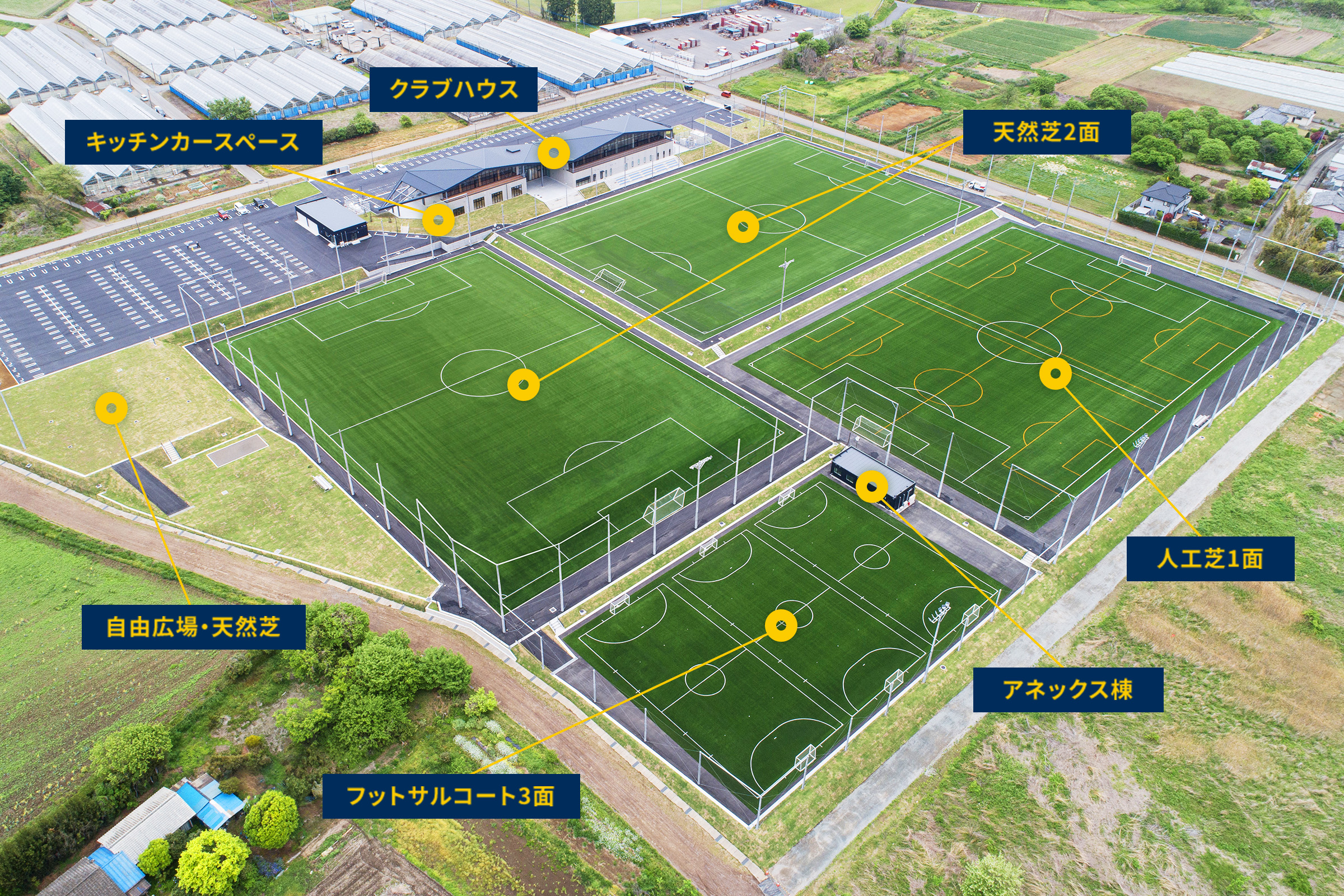 天然芝サッカーコート